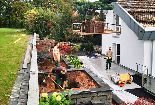 Mitarbeiter von Schellhorn Aussenanlagen beim Garten- und Landschaftsbau