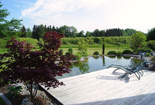 Gartenanlage mit Pool