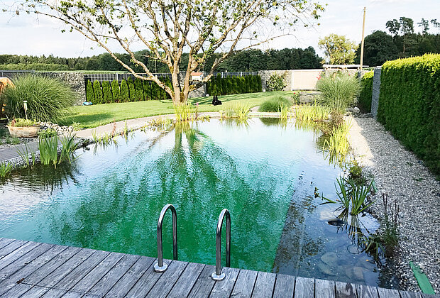 Poolanlage im Garten