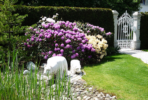 Rasen mit Bepflanzung