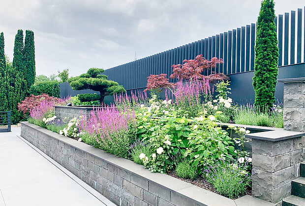 Gartenbepflanzung im Stein