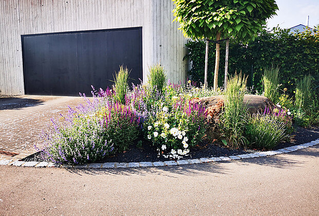 Bepflanzung im Garten